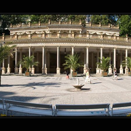 Pension Napoleon การ์โลวีวารี ภายนอก รูปภาพ